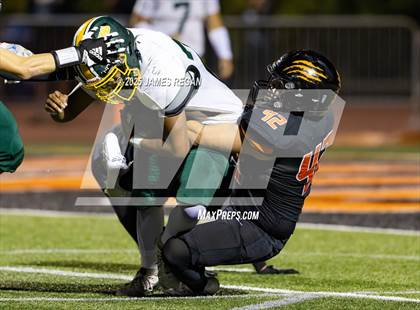 Thumbnail 2 in Capuchino @ Woodside photogallery.