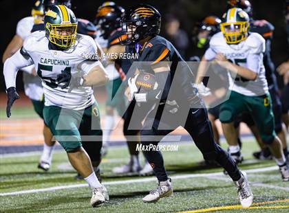 Thumbnail 1 in Capuchino @ Woodside photogallery.