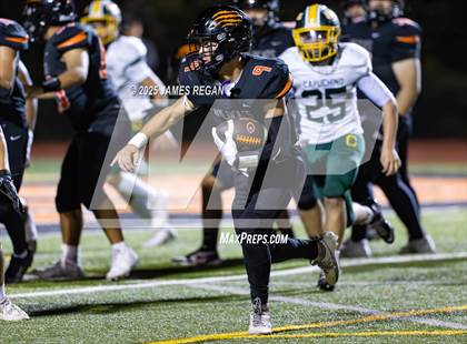 Thumbnail 2 in Capuchino @ Woodside photogallery.