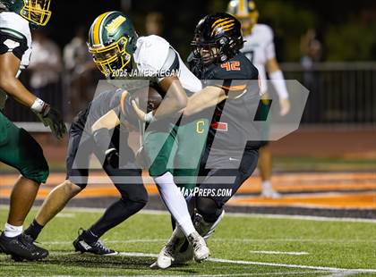 Thumbnail 1 in Capuchino @ Woodside photogallery.