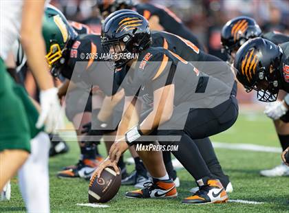 Thumbnail 1 in Capuchino @ Woodside photogallery.