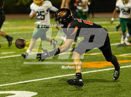 Thumbnail 1 in Capuchino @ Woodside photogallery.