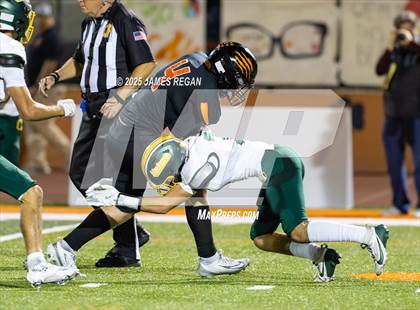 Thumbnail 3 in Capuchino @ Woodside photogallery.