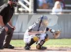 Photo from the gallery "Franklin @ Oak Ridge"