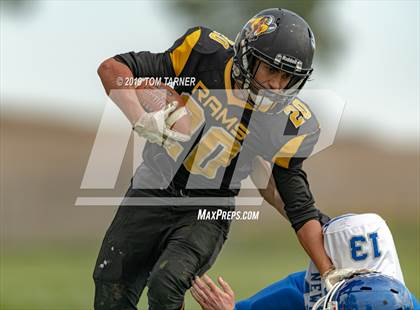 Thumbnail 2 in Newman Central Catholic @ Riverdale photogallery.