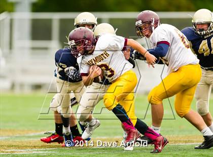 Thumbnail 2 in Weymouth @ Needham photogallery.