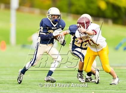 Thumbnail 2 in Weymouth @ Needham photogallery.