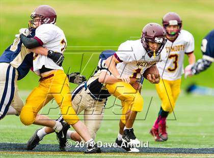 Thumbnail 2 in Weymouth @ Needham photogallery.