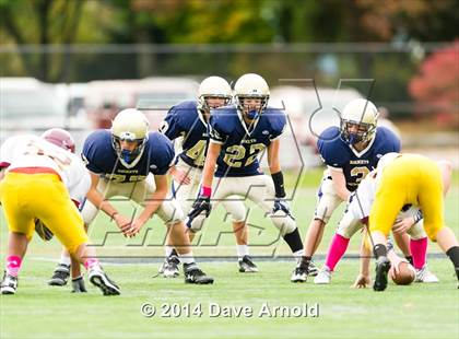 Thumbnail 3 in Weymouth @ Needham photogallery.