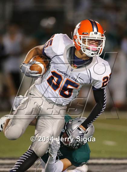 Thumbnail 2 in Cosumnes Oaks @ Granite Bay photogallery.