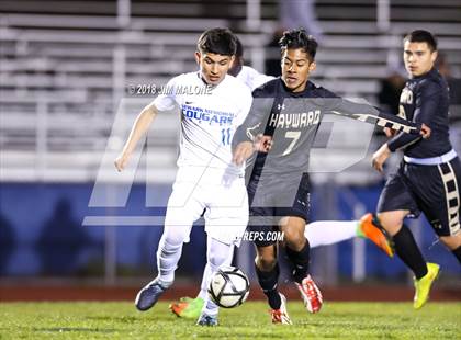 Thumbnail 3 in Newark Memorial vs. Hayward (CIF NCS D2 Round 1 Playoff) photogallery.