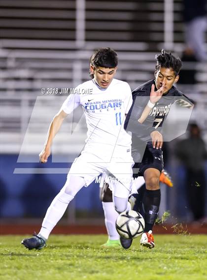 Thumbnail 1 in Newark Memorial vs. Hayward (CIF NCS D2 Round 1 Playoff) photogallery.