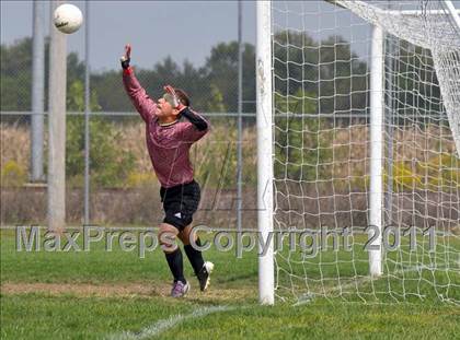 Thumbnail 1 in Mt. Vernon @ Althoff Catholic photogallery.