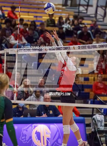 Thumbnail 2 in Hilmar vs Elsinore (CIF State Division 5 Final) photogallery.