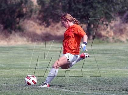Thumbnail 1 in Bella Vista vs St. Mary's (CIF SJS D2 Semifinal Playoff) photogallery.