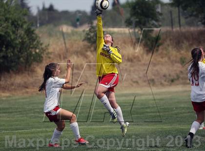 Thumbnail 1 in Bella Vista vs St. Mary's (CIF SJS D2 Semifinal Playoff) photogallery.