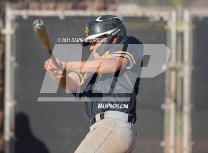 Thumbnail 2 in Marcos de Niza @ Saguaro photogallery.