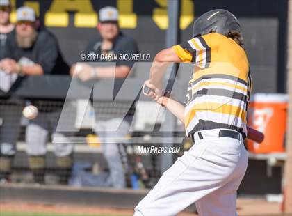 Thumbnail 2 in Marcos de Niza @ Saguaro photogallery.
