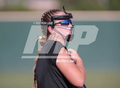 Thumbnail 1 in Norman @ Mustang photogallery.