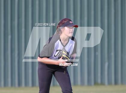 Thumbnail 3 in Norman @ Mustang photogallery.