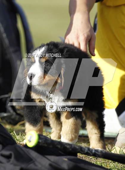 Thumbnail 1 in North Port vs. McMinn County photogallery.