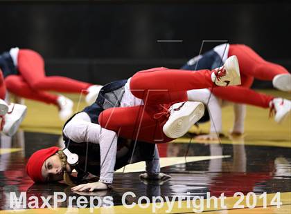 Thumbnail 1 in Denver East vs. Fossil Ridge (CHSAA 5A Final) photogallery.