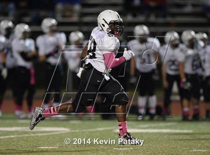 Thumbnail 1 in Xavier @ Hillhouse photogallery.