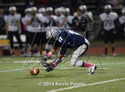 Thumbnail 1 in Xavier @ Hillhouse photogallery.