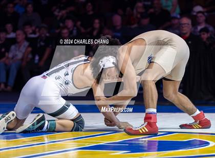 Thumbnail 3 in CIF Boys State Wrestling Championships (Finals) photogallery.