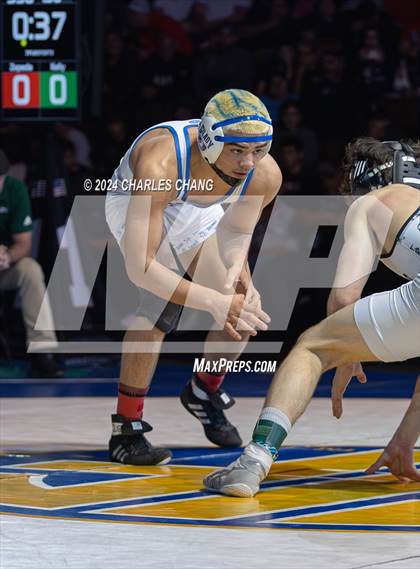 Thumbnail 1 in CIF Boys State Wrestling Championships (Finals) photogallery.
