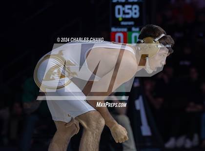 Thumbnail 2 in CIF Boys State Wrestling Championships (Finals) photogallery.