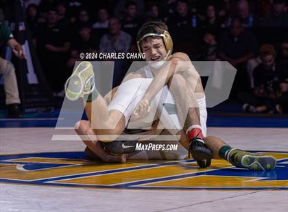 Thumbnail 3 in CIF Boys State Wrestling Championships (Finals) photogallery.