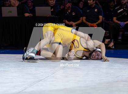Thumbnail 3 in CIF Boys State Wrestling Championships (Finals) photogallery.