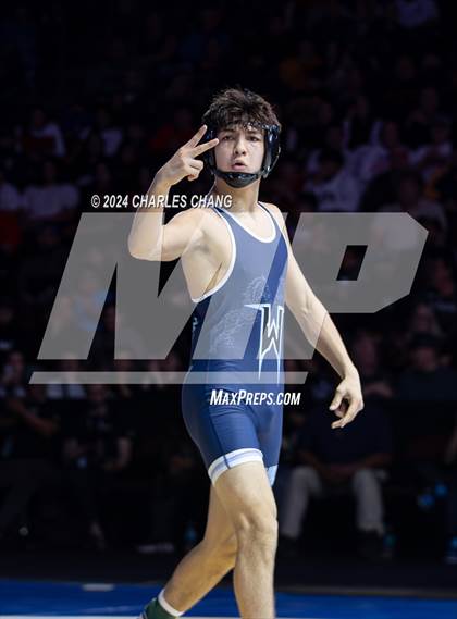 Thumbnail 1 in CIF Boys State Wrestling Championships (Finals) photogallery.