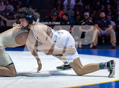 Thumbnail 2 in CIF Boys State Wrestling Championships (Finals) photogallery.