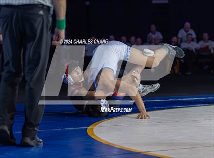 Thumbnail 2 in CIF Boys State Wrestling Championships (Finals) photogallery.