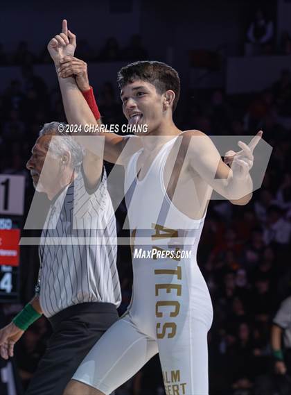 Thumbnail 3 in CIF Boys State Wrestling Championships (Finals) photogallery.