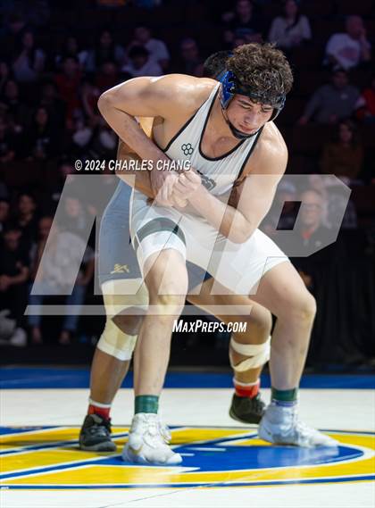 Thumbnail 1 in CIF Boys State Wrestling Championships (Finals) photogallery.