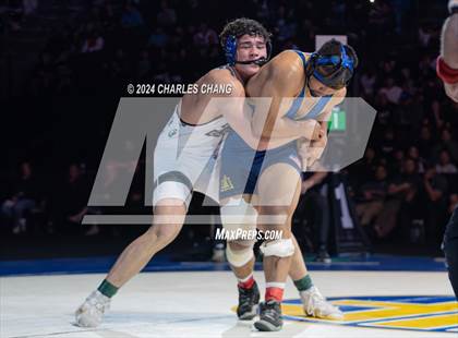 Thumbnail 3 in CIF Boys State Wrestling Championships (Finals) photogallery.