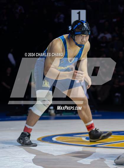 Thumbnail 2 in CIF Boys State Wrestling Championships (Finals) photogallery.