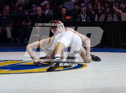 Thumbnail 3 in CIF Boys State Wrestling Championships (Finals) photogallery.