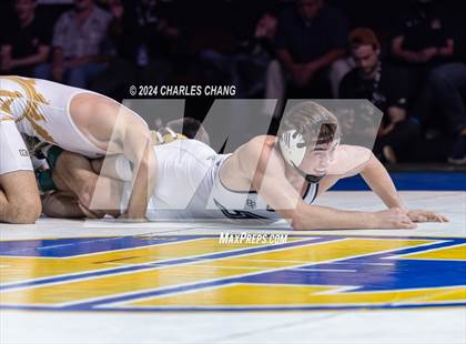 Thumbnail 3 in CIF Boys State Wrestling Championships (Finals) photogallery.