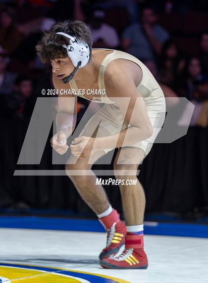 Thumbnail 1 in CIF Boys State Wrestling Championships (Finals) photogallery.