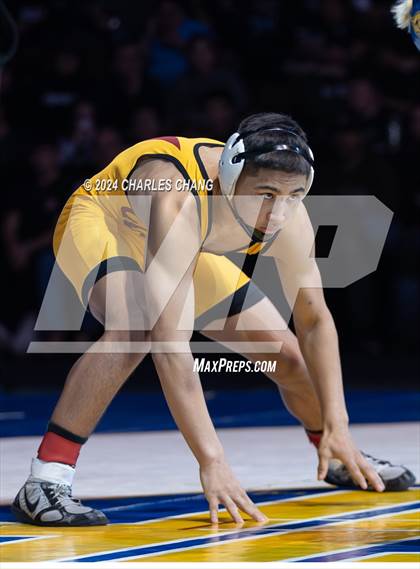 Thumbnail 1 in CIF Boys State Wrestling Championships (Finals) photogallery.