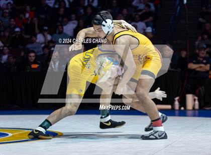 Thumbnail 1 in CIF Boys State Wrestling Championships (Finals) photogallery.