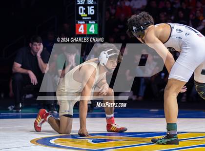 Thumbnail 1 in CIF Boys State Wrestling Championships (Finals) photogallery.