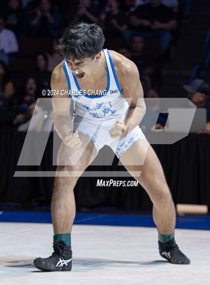 Thumbnail 2 in CIF Boys State Wrestling Championships (Finals) photogallery.