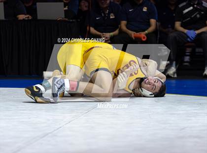 Thumbnail 1 in CIF Boys State Wrestling Championships (Finals) photogallery.