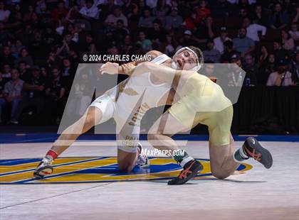 Thumbnail 3 in CIF Boys State Wrestling Championships (Finals) photogallery.