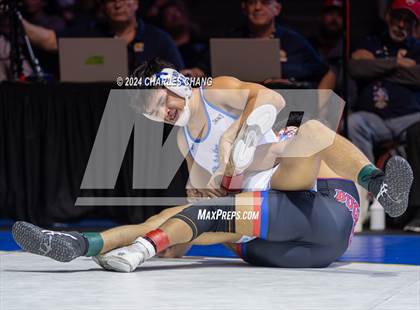 Thumbnail 1 in CIF Boys State Wrestling Championships (Finals) photogallery.